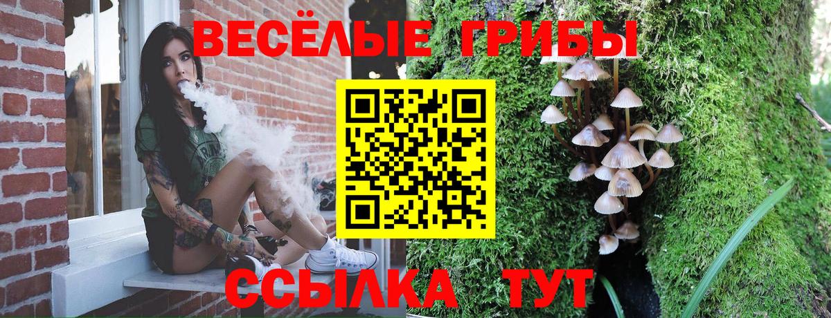 Сорочинск  Галлюциногенные грибы прущие грибы  Псилоцибиновые грибы GOLDEN TEACHER  Вход с VPN 